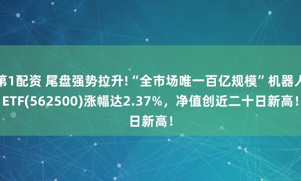 第1配资 尾盘强势拉升!“全市场唯一百亿规模”机器人ETF(562500)涨幅达2.37%，净值创近二十日新高！